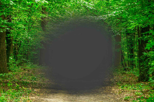 Schwarzer Fleck bei Makuladegeneration